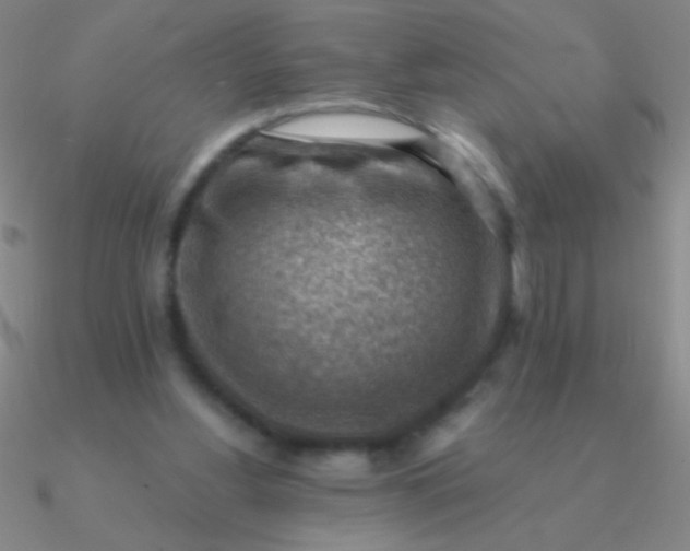 X0000090630156200708071253