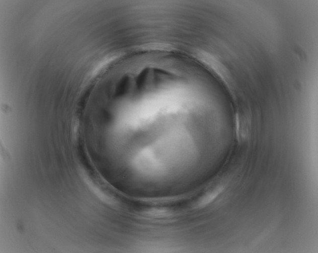 X0000090630157200708071253