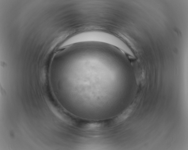 X0000090630158200708071253