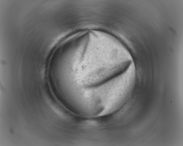 X0000090630159200708071253