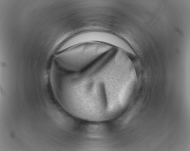 X0000090630160200708071253