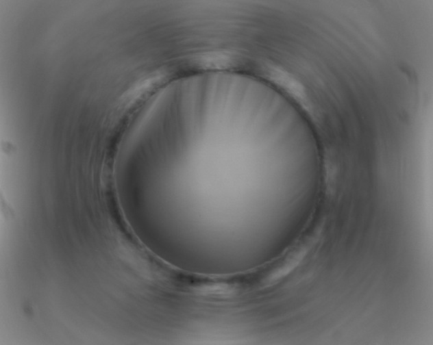 X0000090630161200708071253