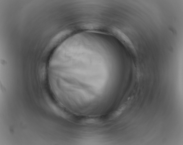 X0000090630163200708071253