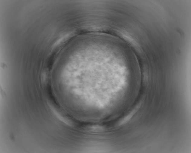 X0000090630165200708071253