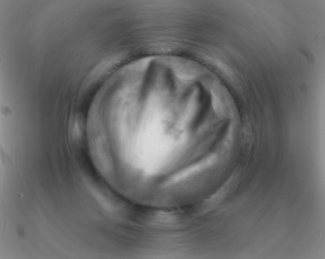 X0000090630166200708071253