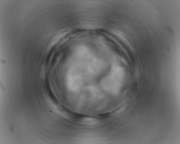 X0000090630167200708071253