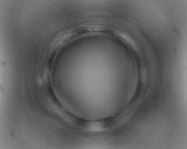 X0000090630169200708071253