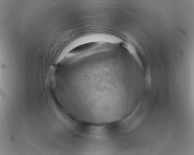 X0000090630170200708071253