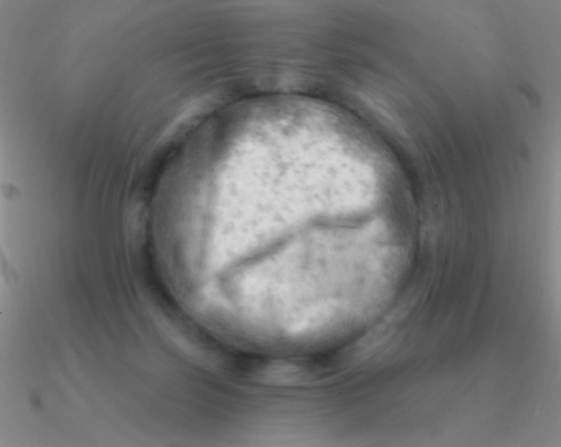 X0000090630171200708071253