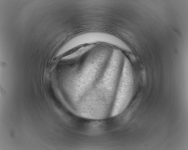 X0000090630172200708071253