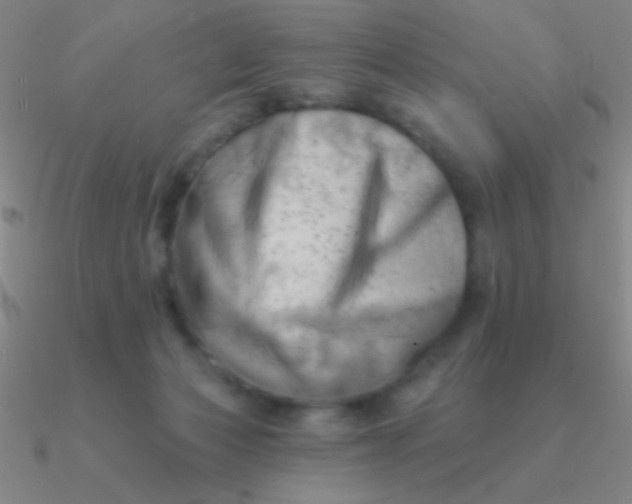 X0000090630173200708071253