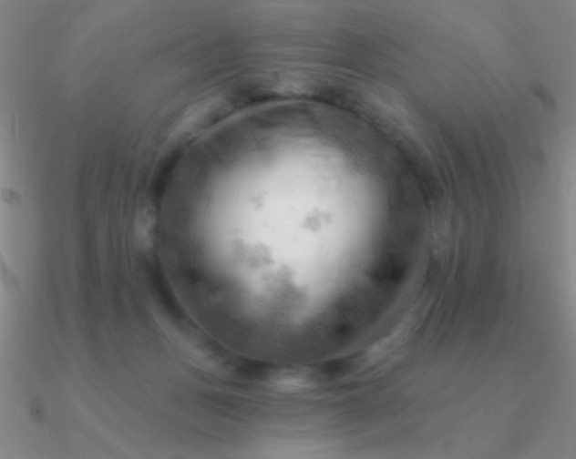 X0000090630175200708071253