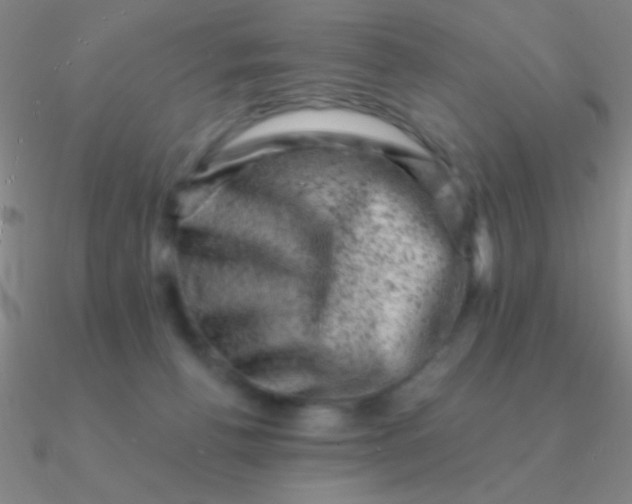 X0000090630176200708071253