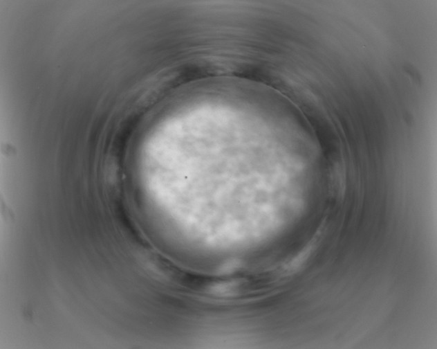 X0000090630178200708071253