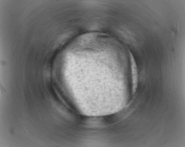 X0000090630179200708071253