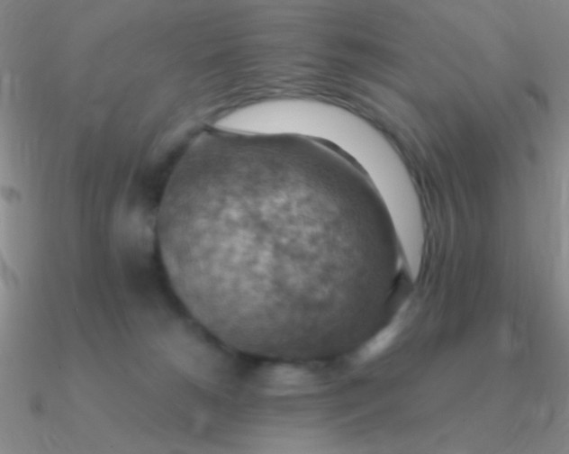 X0000090630180200708071253