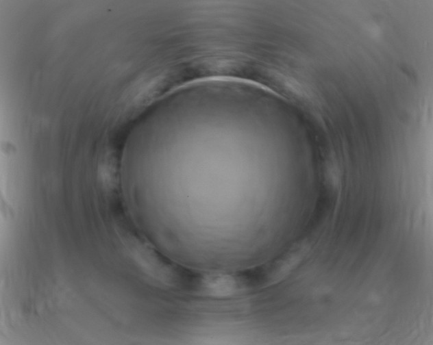 X0000090630181200708071253