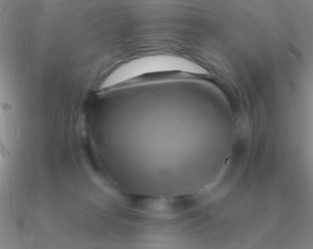 X0000090630182200708071253