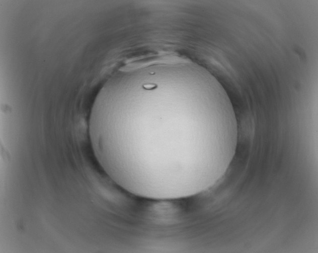 X0000090630183200708071253