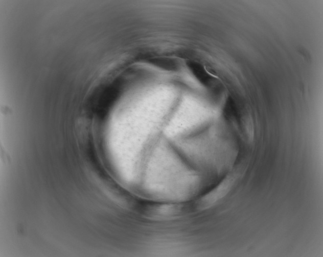 X0000090630184200708071253