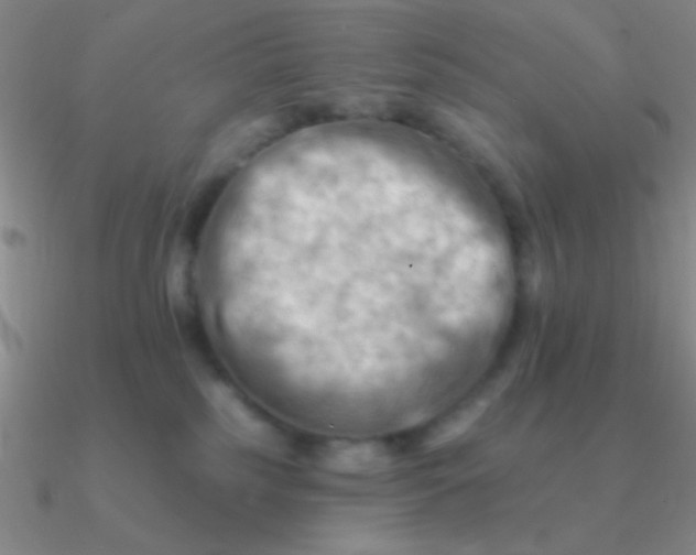 X0000090630185200708071253