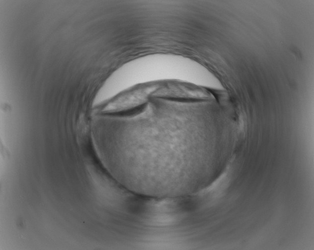 X0000090630186200708071253