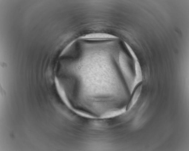 X0000090630187200708071253