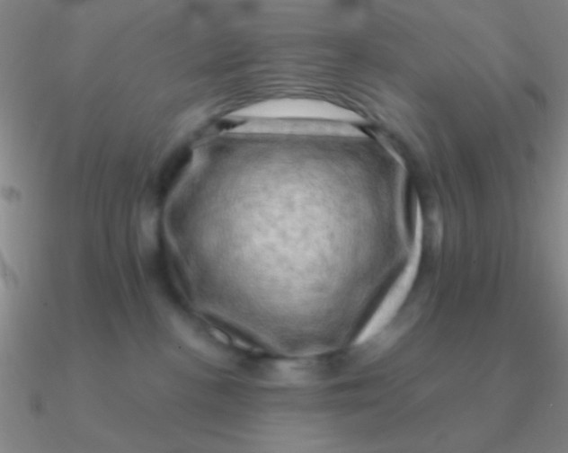 X0000090630188200708071253