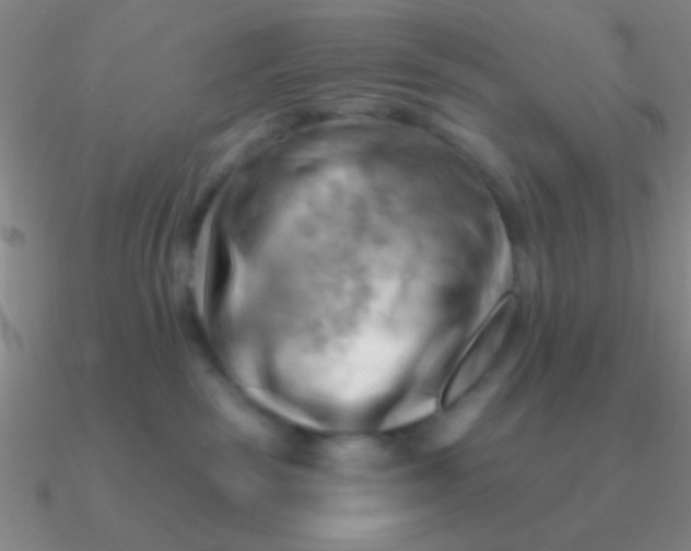 X0000090630189200708071253