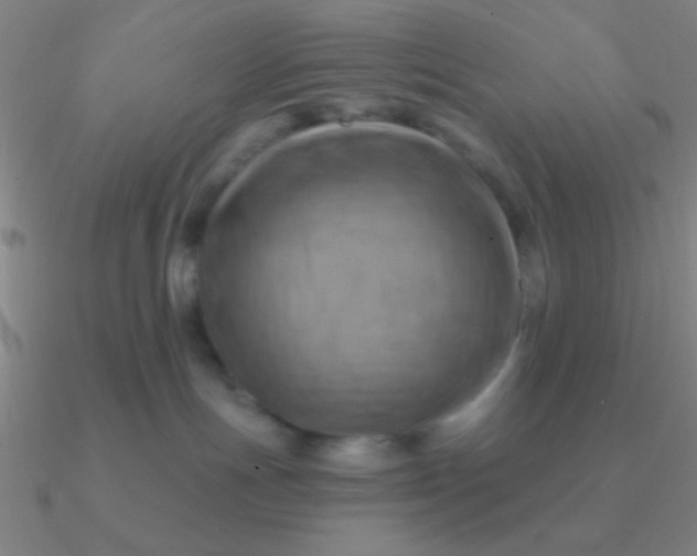 X0000090630191200708071253