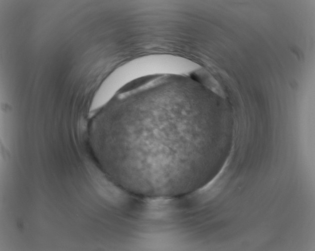 X0000090630192200708071253