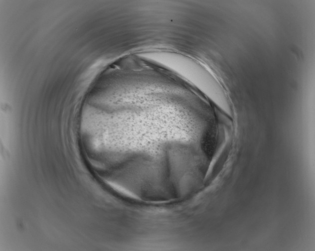 X0000090630193200708071253