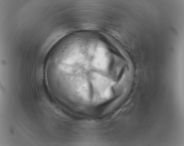 X0000090630194200708071253