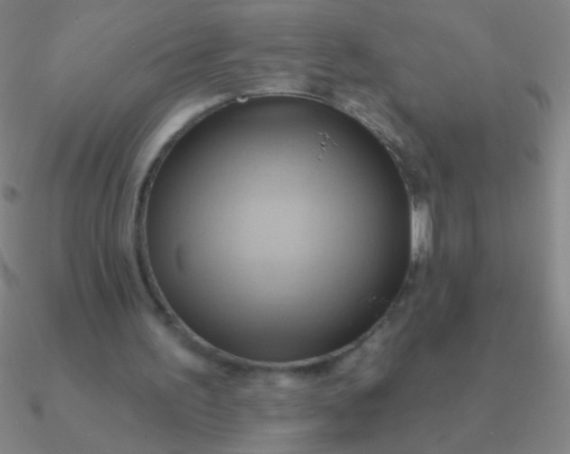 X0000090630195200708071253