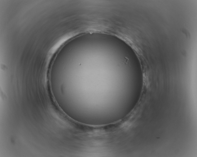 X0000090630196200708071253