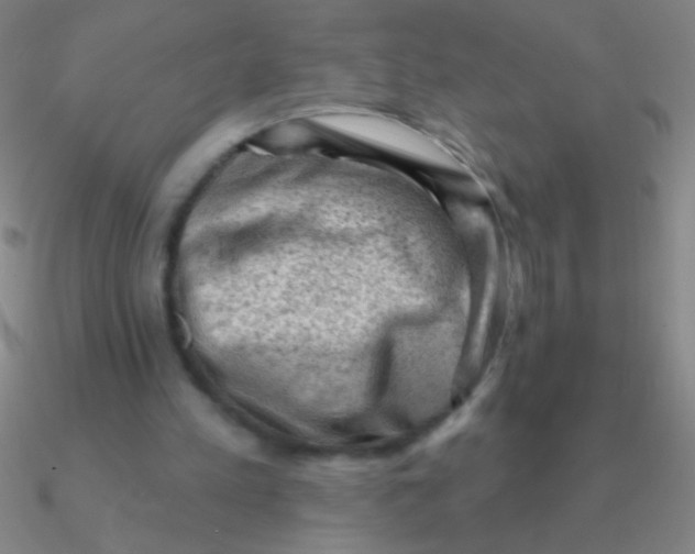 X0000090630197200708071253