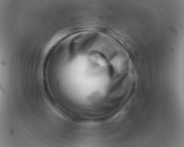 X0000090630198200708071253