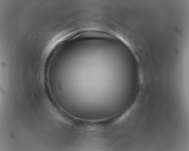 X0000090630199200708071253