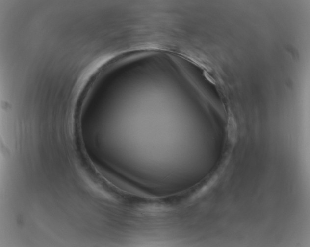 X0000090630200200708071253