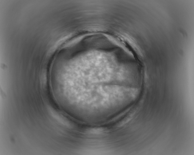 X0000090630202200708071252