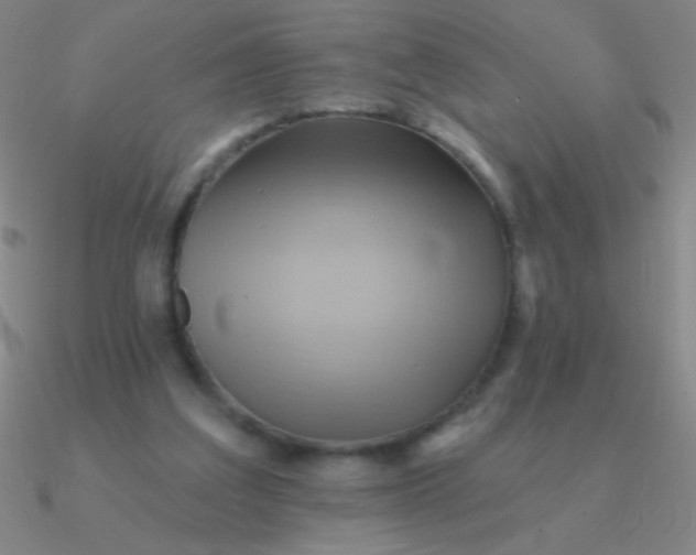 X0000090630203200708071252