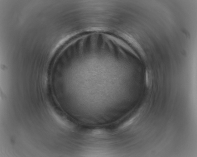 X0000090630204200708071252