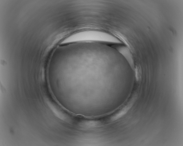 X0000090630205200708071252