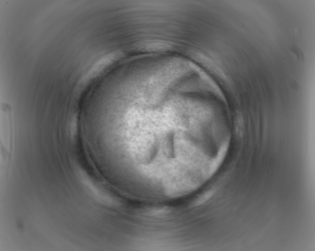 X0000090630206200708071252