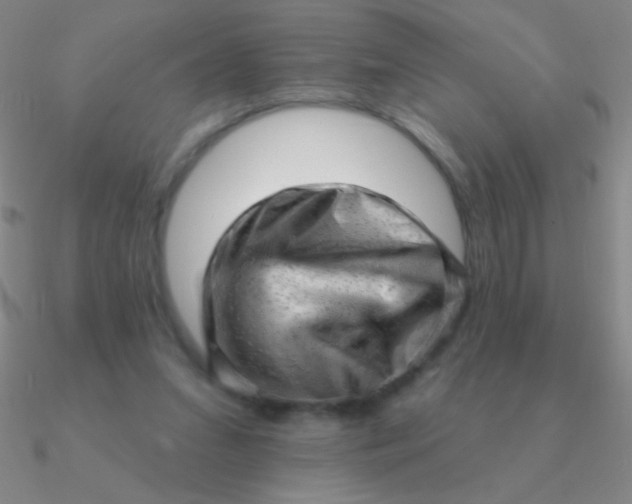 X0000090630207200708071252