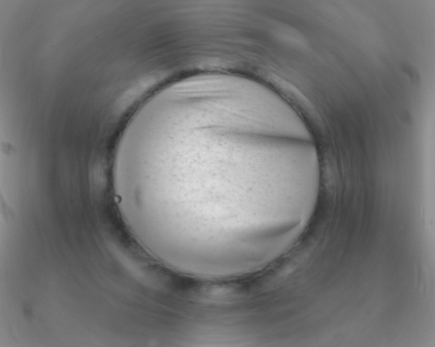 X0000090630208200708071252