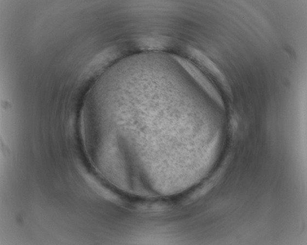 X0000090630209200708071252