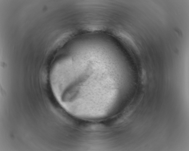 X0000090630210200708071252