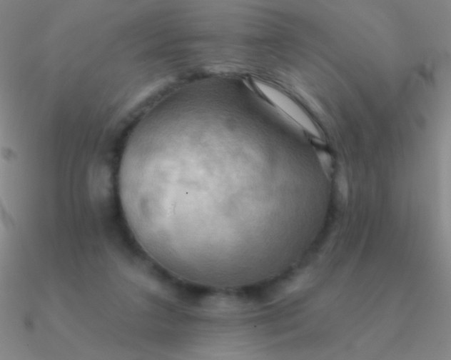 X0000090630211200708071252