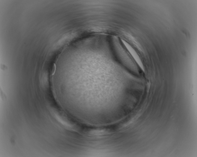 X0000090630213200708071252